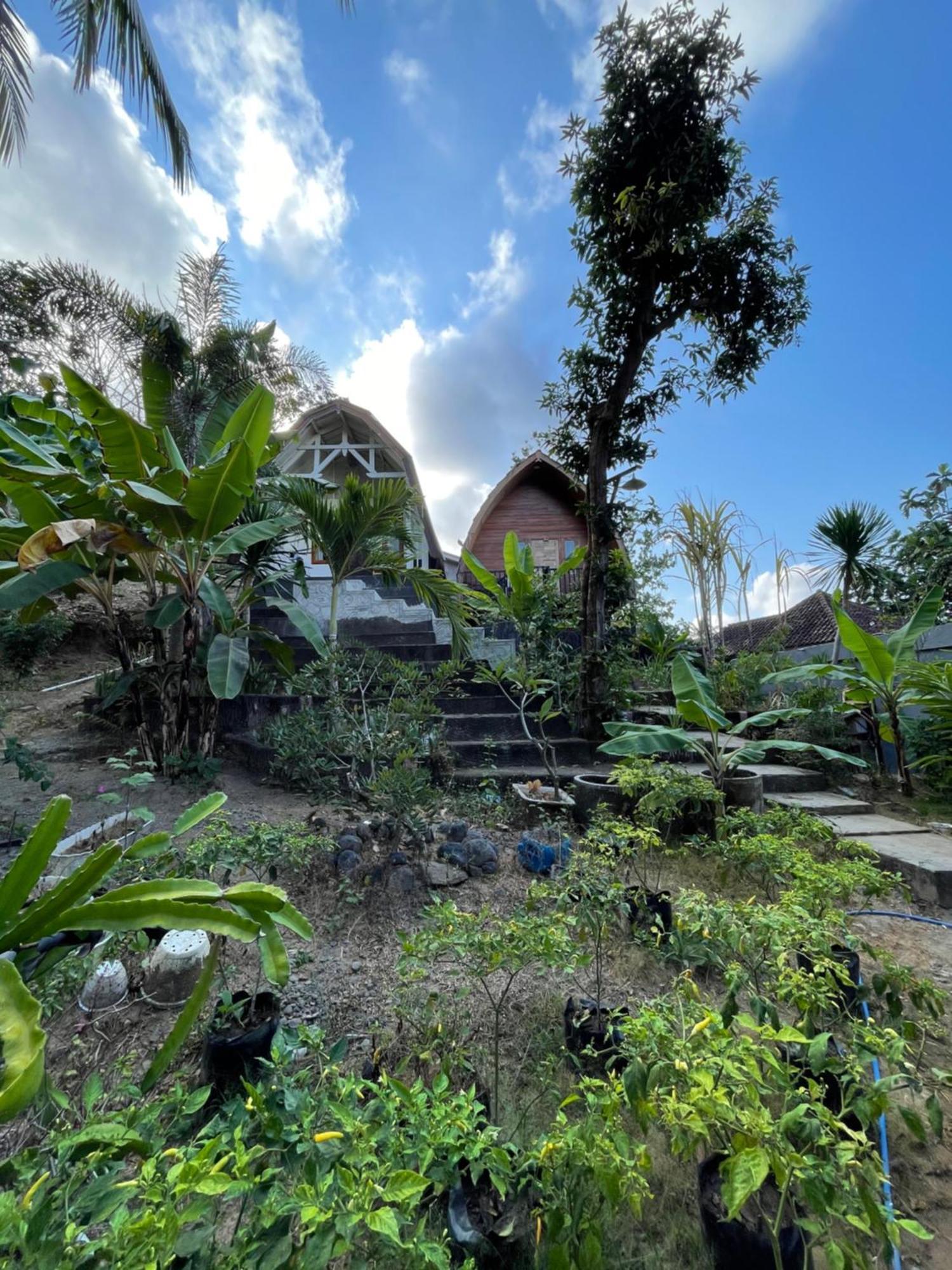Tri Putri Homestay Kuta  외부 사진