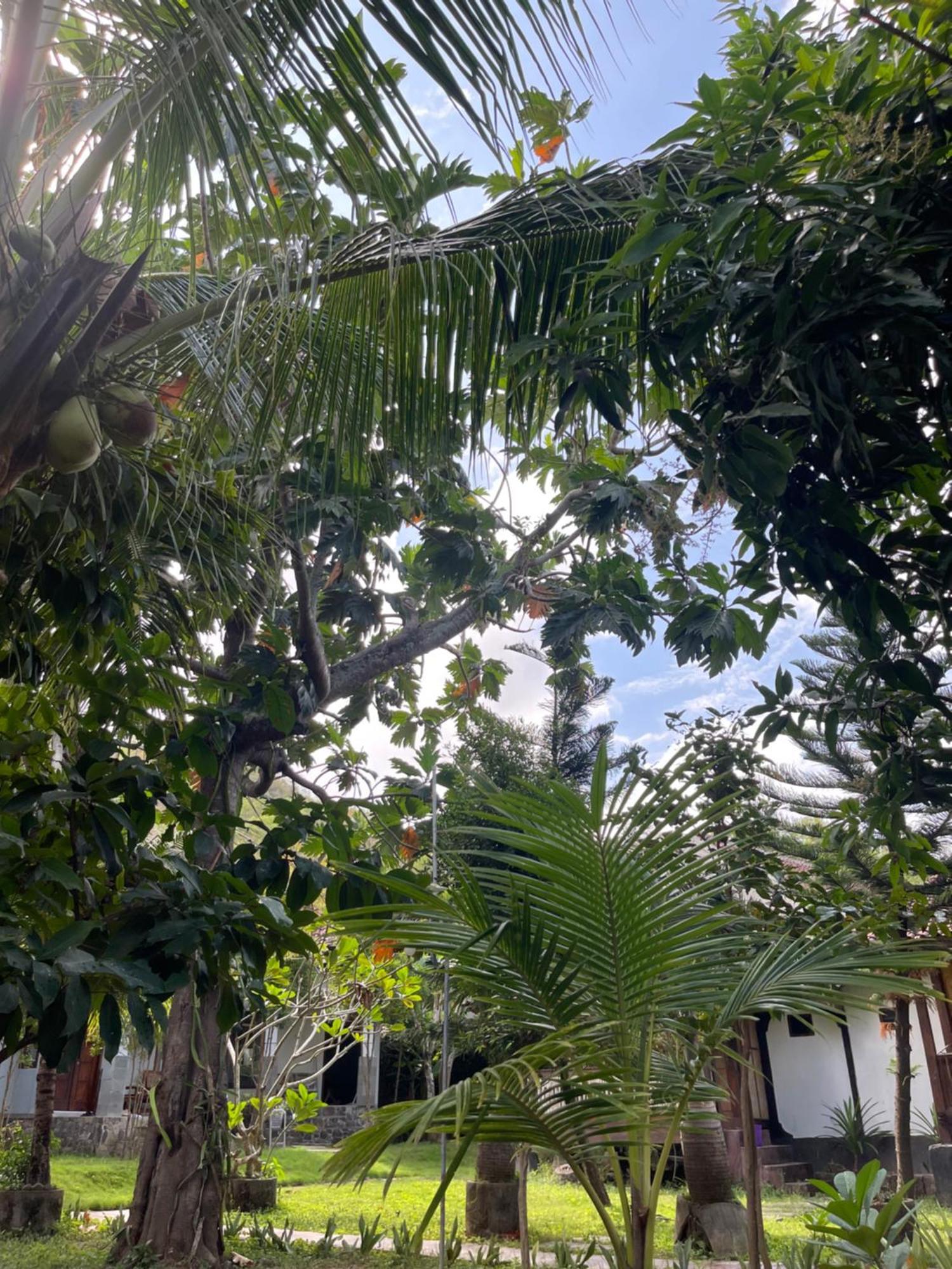 Tri Putri Homestay Kuta  외부 사진