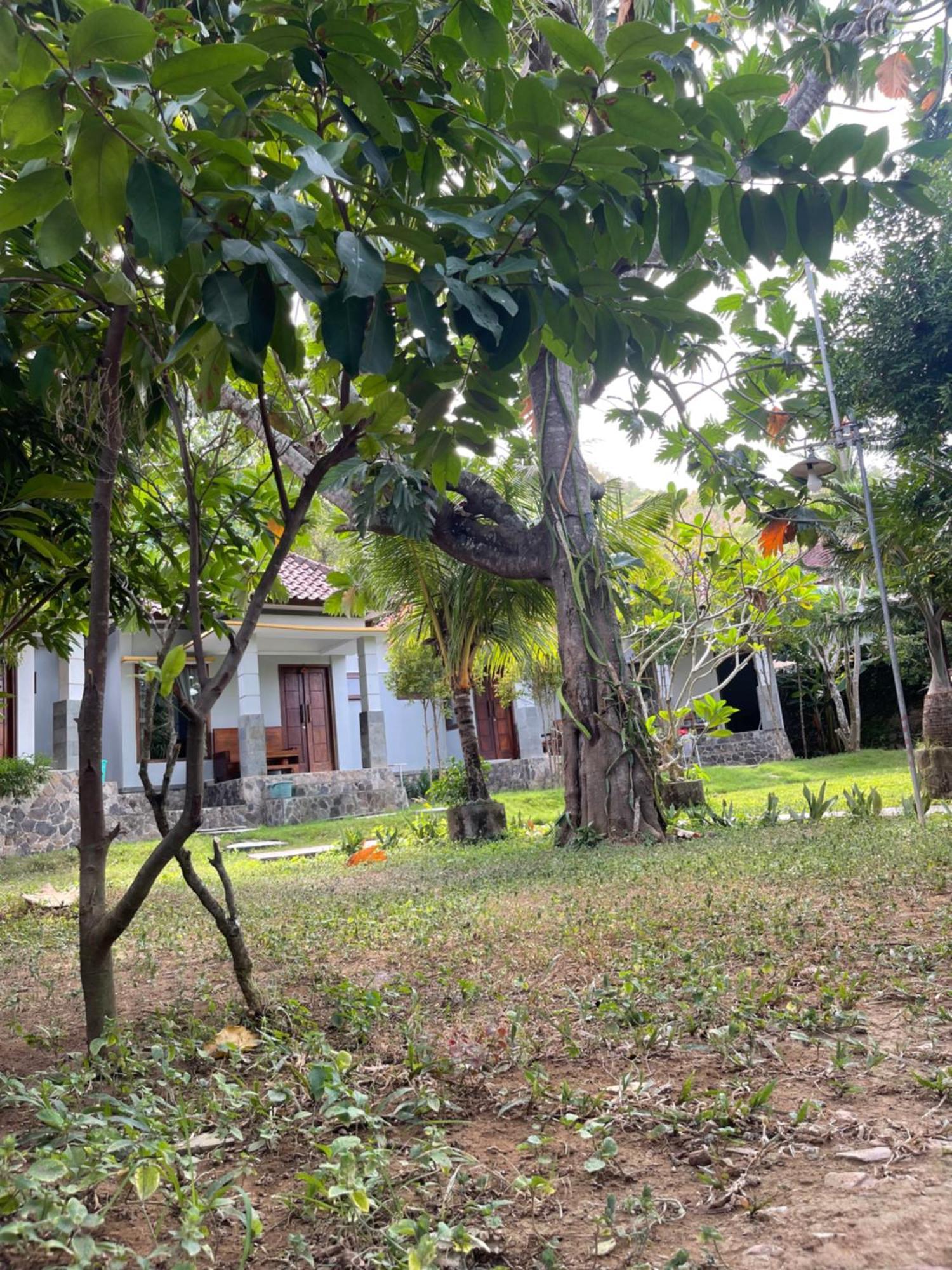 Tri Putri Homestay Kuta  외부 사진
